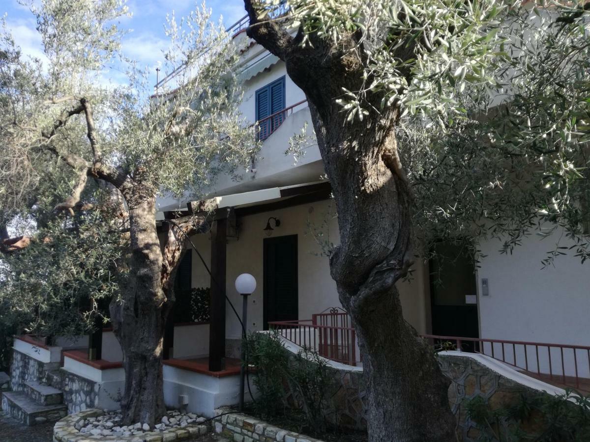 Villa Anna Residence Rodi Rodi Garganico Exterior foto